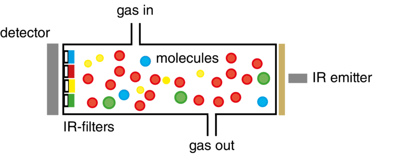Dual-Optical-Path Detection